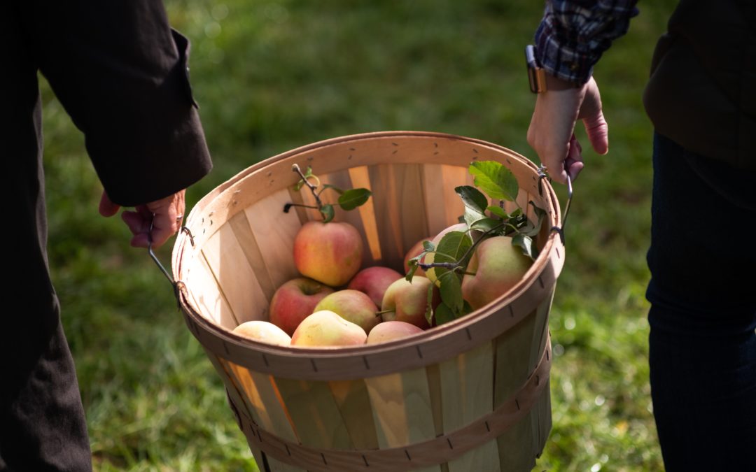 Six must-see places at Apple Hill this fall